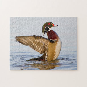 Puzzle Canard branchu mâle battant des ailes dans une zon