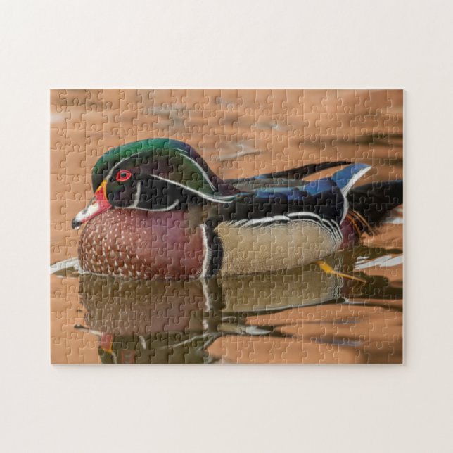 Puzzle Canard branchu nageant dans l'eau (Horizontal)