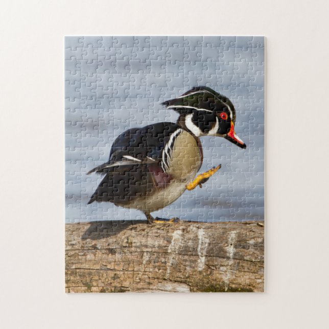 Puzzle Canard branchu sur une bûche dans une zone humide (Vertical)