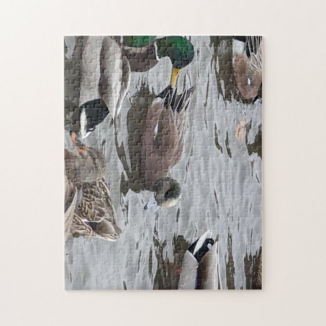 Puzzle Canard, Canard d'Amérique, Oiseau, Kennewick, WA (Vertical)