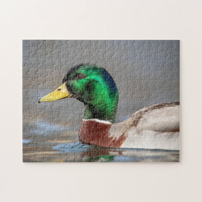 Puzzle Canard colvert dans la vallée de l'Hudson (Horizontal)