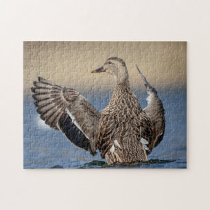 Puzzle Canard colvert dans la vallée de l'Hudson