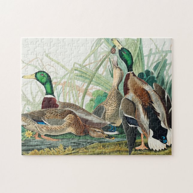 Puzzle Canard colvert des oiseaux d'Amérique (Audubon) (Horizontal)