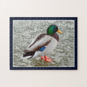 Puzzle Canard colvert sur lac gelé