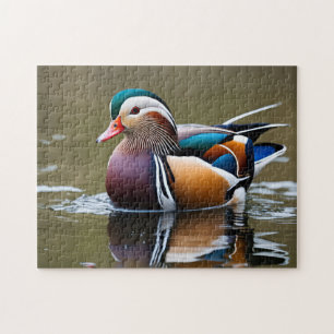 Puzzle Canard colvert vibrant