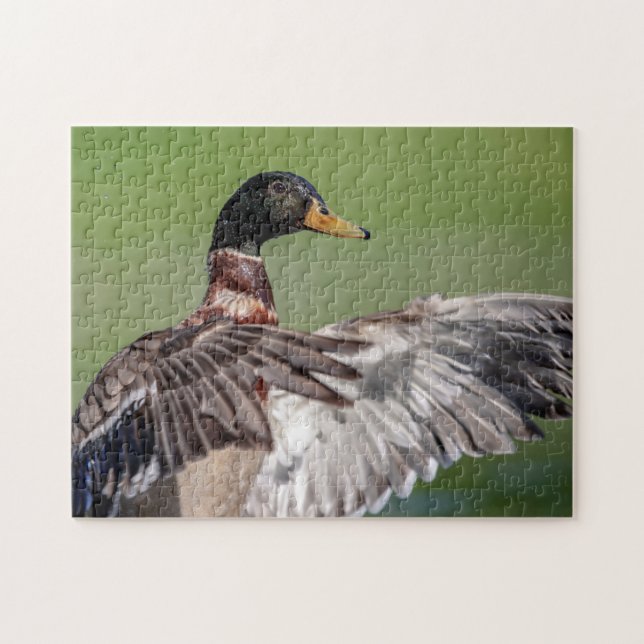 Puzzle Canard dans la vallée de l'Hudson (Horizontal)