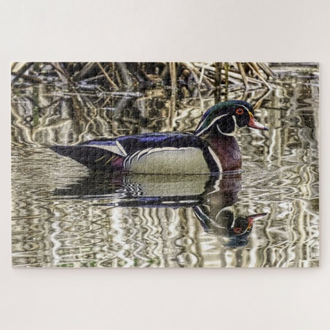 Puzzle Canard de bois mâle nageant dans l'étang (Horizontal)
