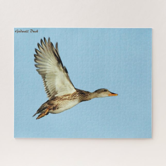 Puzzle Canard de Gadwall (Horizontal)