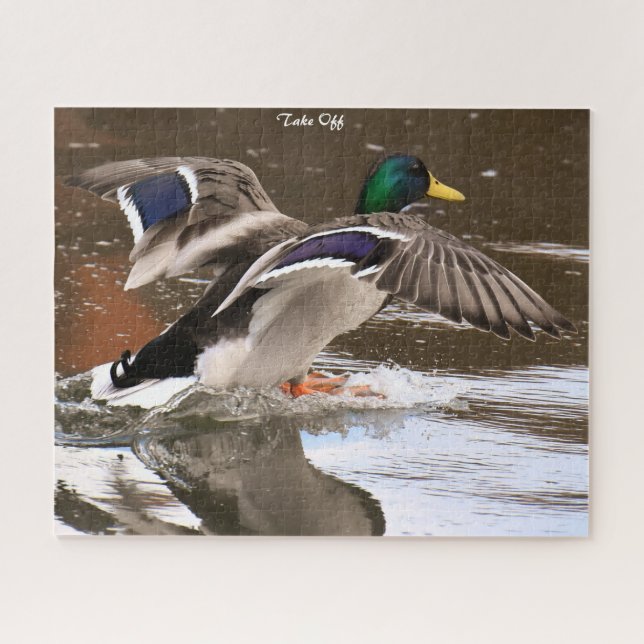 Puzzle Canard de Mallard en vol (Horizontal)