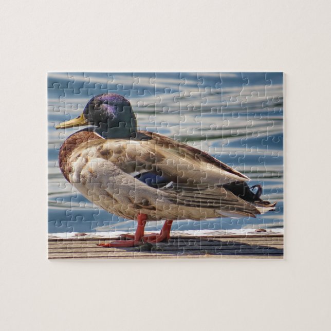 Puzzle Canard En Mer (Horizontal)