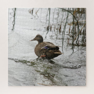 Puzzle Canard gris sur la nuit du lac