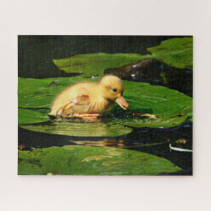 Puzzle Canard jaune flottant sur les coussinets Lily