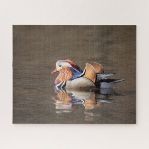 Puzzle Canard mandarin