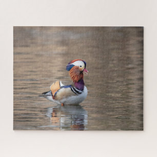 Puzzle Canard mandarin