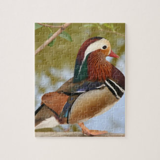 Puzzle Canard mandarin