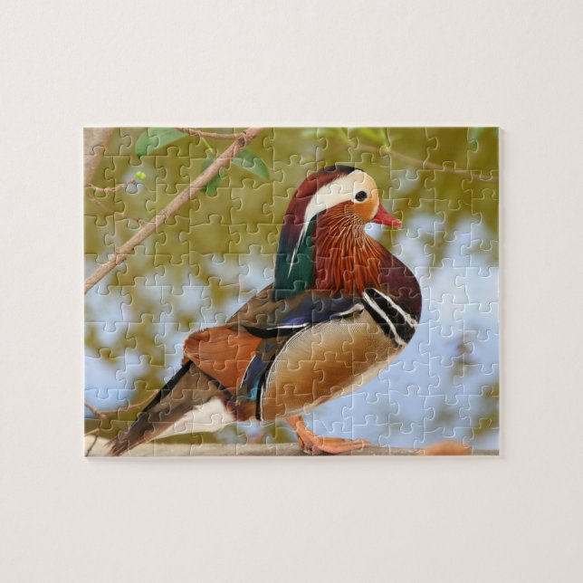 Puzzle Canard mandarin (Horizontal)