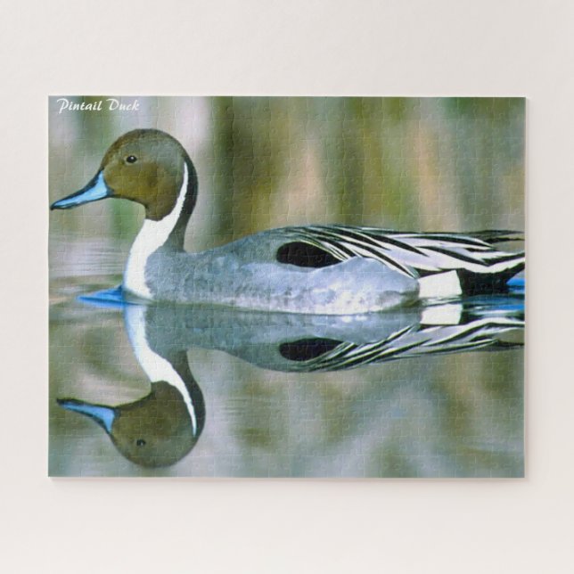 Puzzle Canard pilet (Horizontal)