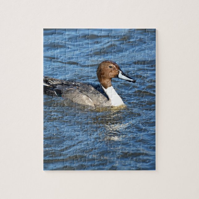 Puzzle Canard pilet du Nord (Vertical)