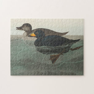 Puzzle Canard router américain Audubon