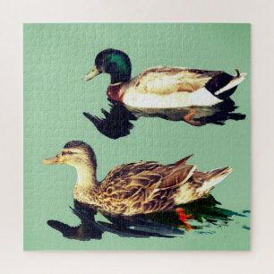 Puzzle Canards