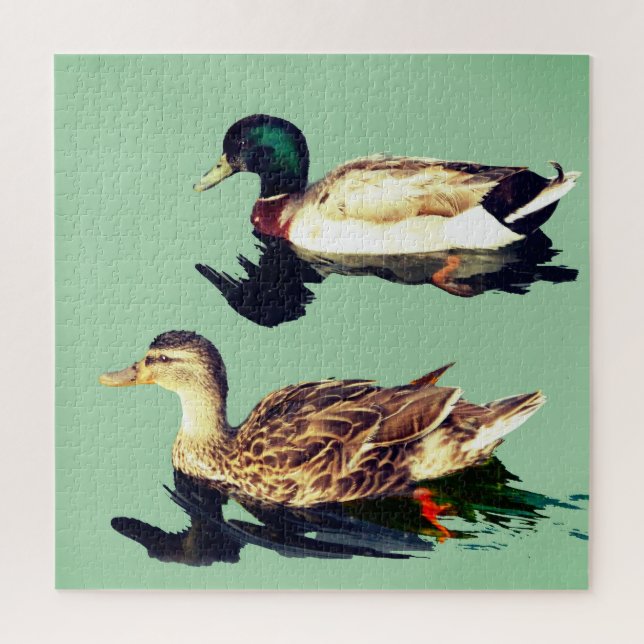 Puzzle Canards (Vertical)