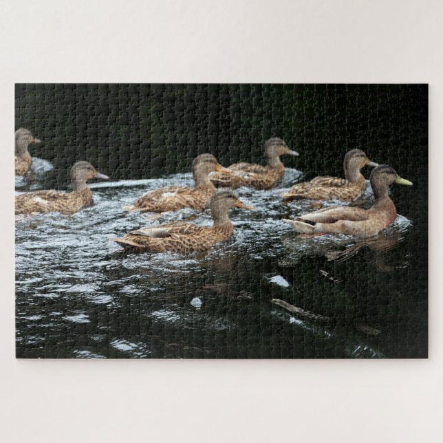 Puzzle Canards (Horizontal)