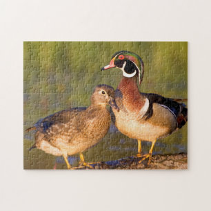 Puzzle Canards branchus et femelle sur une bûche dans une