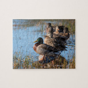 Puzzle Canards de Mallard