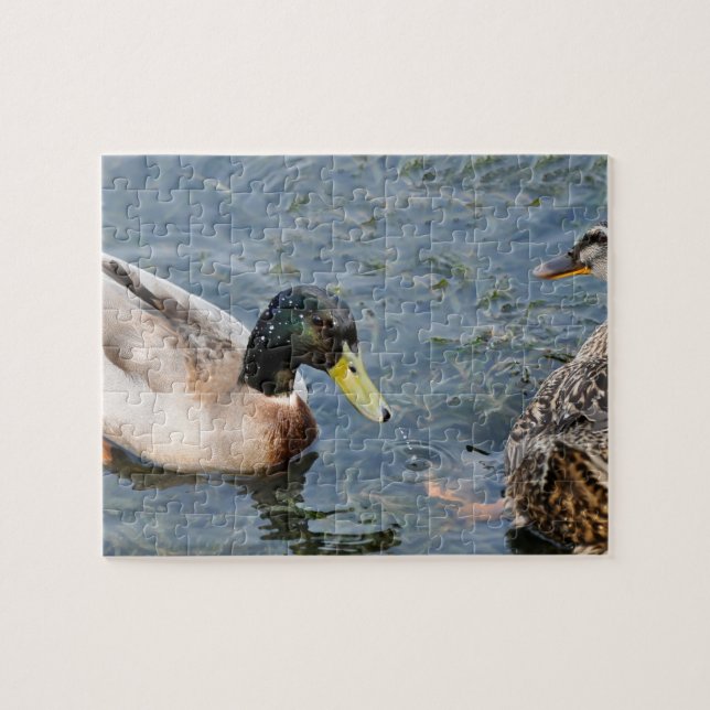 Puzzle Canards mâles et femelles dans un lac (Horizontal)