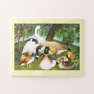 Puzzle Canards, oies et cygnes