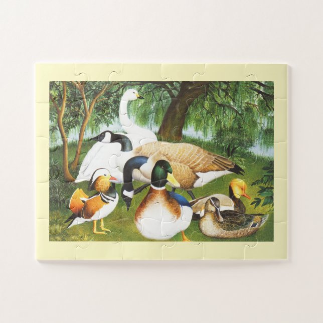 Puzzle Canards, oies et cygnes (Horizontal)