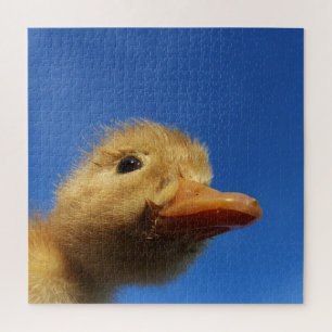 Puzzle caneton, poulet, animal, poussin, oiseau, ferme, m