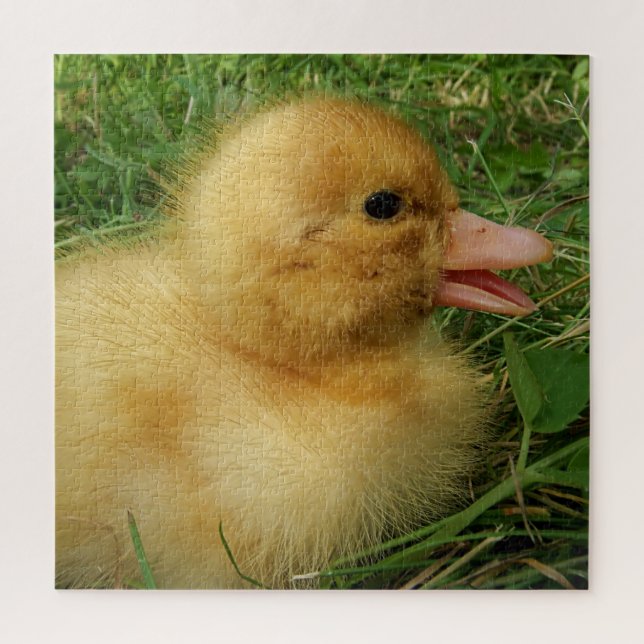 Puzzle caneton, poulet, animal, poussin, oiseau, ferme, m (Vertical)