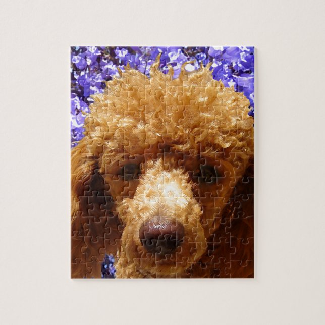 Puzzle Caniche mignon (Vertical)