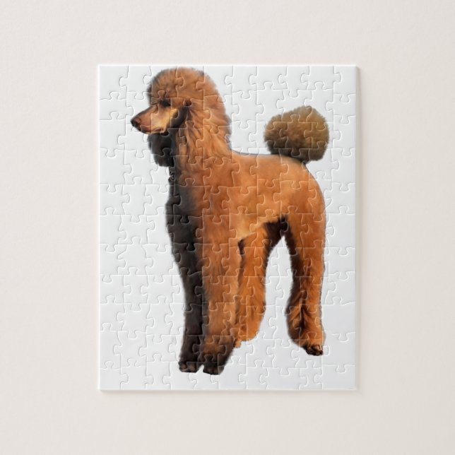 Puzzle caniche rouge (Vertical)