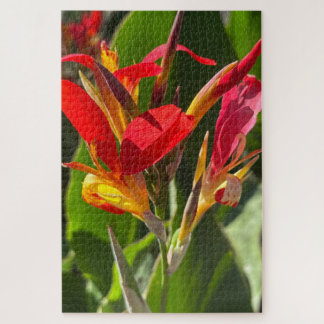 Puzzle Canna rouge, Oakland