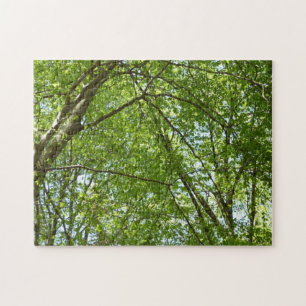 Puzzle Canopée du printemps Feuille Green Nature Scene