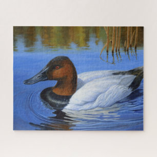 Puzzle Canvasback Baignade de canard, Roseaux, Peinture a