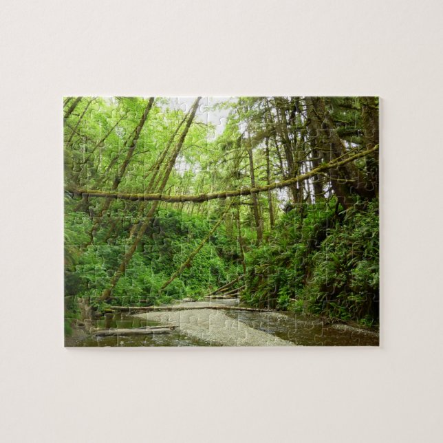 Puzzle Canyon Fern I au Parc national de Redwood (Horizontal)