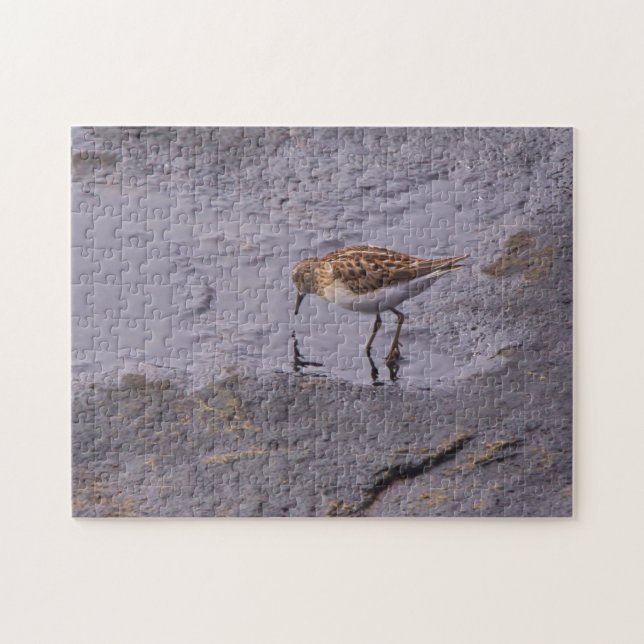 Puzzle Cape Neddick Least Sandpiper (Horizontal)