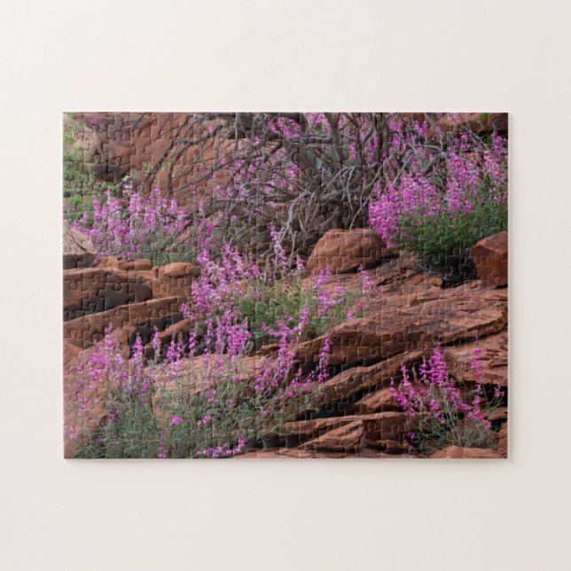 Puzzle Capitol Reef National Park, Utah, États-Unis (Horizontal)