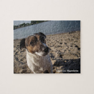 Puzzle Capo von Oppenheim, Jack Russell Terrier Chien