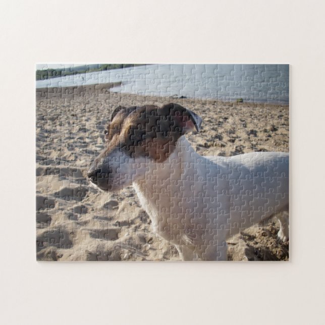 Puzzle Capo von Oppenheim, Jack Russell Terrier Chien (Horizontal)