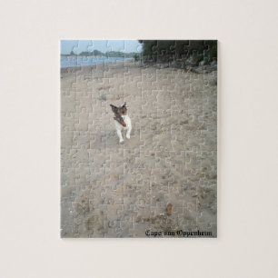 Puzzle Capo von Oppenheim, Jack Russell Terrier Chien