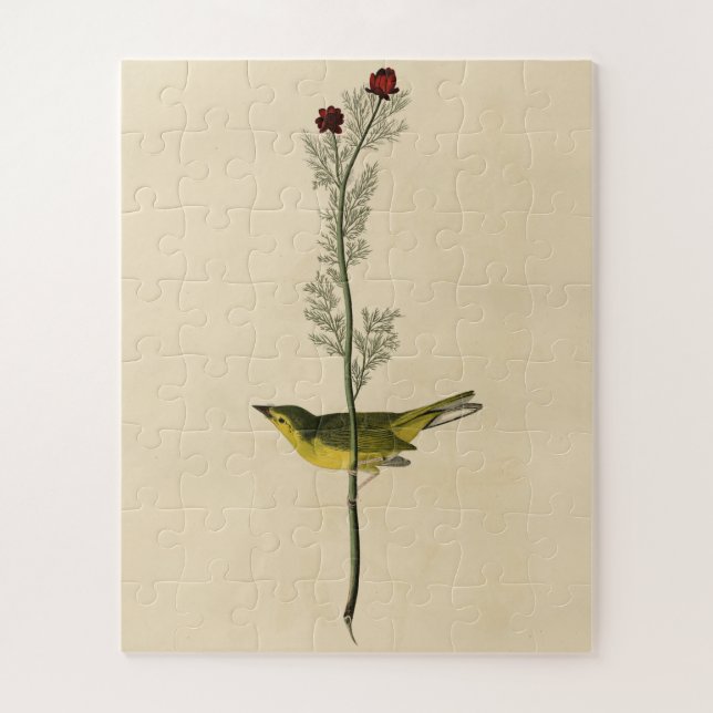 Puzzle Capteur de mouches de Selby - Audubon's Birds of A (Vertical)