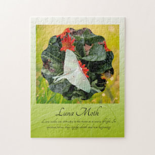 Puzzle Captivant Luna Moth