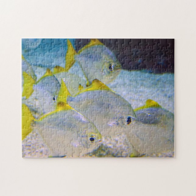 Puzzle Capture d'image du groupe de poissons (Horizontal)