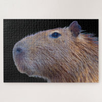 Capybara