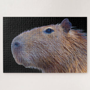 Puzzle Capybara
