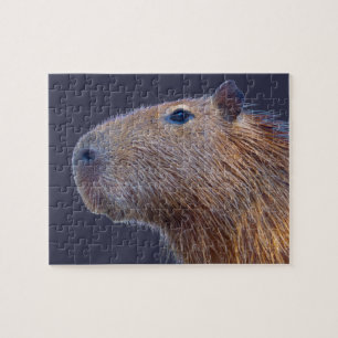 Puzzle Capybara
